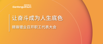 贛鋒鋰業(yè)召開職工代表大會 堅持向奮斗者傾斜更多資源